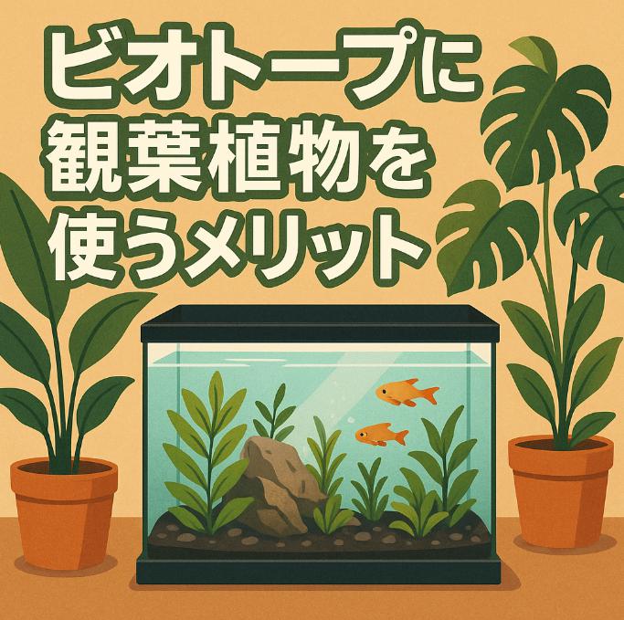 ビオトープに観葉植物を取り入れるなら？水辺に映える種類と育て方のコツ