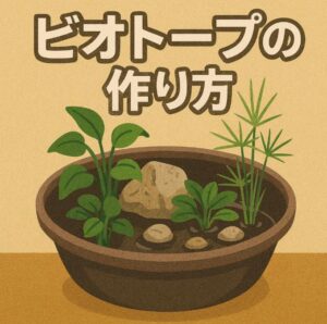 初めてでも簡単！自然を身近に感じるビオトープの作り方と育て方のポイント