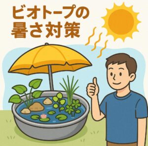 ビオトープの夏は油断禁物！暑さから水草や生き物を守るための暑さ対策まとめ