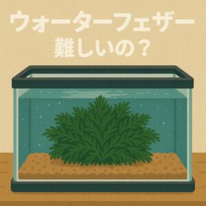 ウォーターフェザーは本当に難しい？失敗しやすい理由と成功への近道を解説