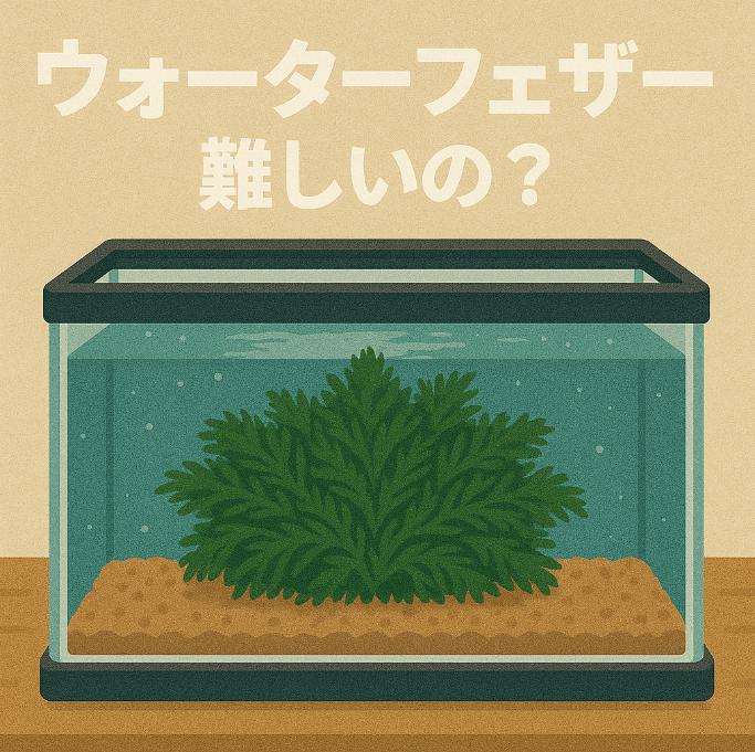 ウォーターフェザーは本当に難しい？失敗しやすい理由と成功への近道を解説
