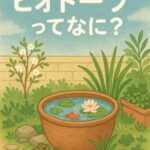ビオトープとは？庭やベランダに広がる小さな自然の魅力と役割