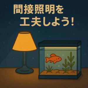 夜も美しい！間接照明で楽しむ幻想的な水景の作り方｜アクアリウムを彩る光の演出術