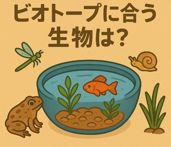ビオトープに合う生体の選び方|相性を考慮した組み合わせでつくる自然な生態系