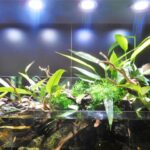 照明の熱で水槽の水温が上がるのを防ぐ方法