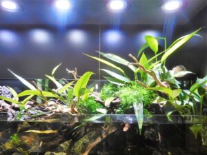 照明の熱で水槽の水温が上がるのを防ぐ方法