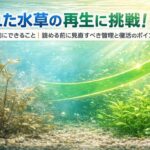 枯れた水草の再生に挑戦！リセット前にできること｜諦める前に見直すべき管理と復活のポイント