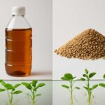 液体肥料と固形肥料どっちがいい？効果の違いを検証｜水草に合った選び方とは