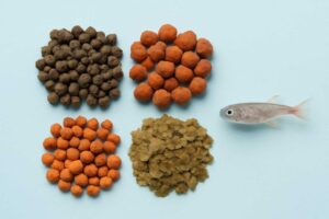 メダカにおすすめの餌はどれ？選び方とタイプ別の使い分けをわかりやすく解説