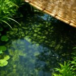 ビオトープにすだれを設置すると夏の効果抜群！水温上昇を防ぐコツ