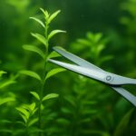 水草をカット後に枯れる原因と対策｜失敗しない正しい方法