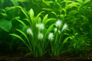 水草トリミング後に白いカビが発生する原因と対策方法