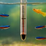 水槽の温度差が大きい時の悪影響と対策|魚の病気を防ぐ方法