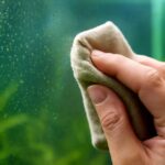 水槽のガラスに付いた緑の点状コケを完全除去する方法と予防策