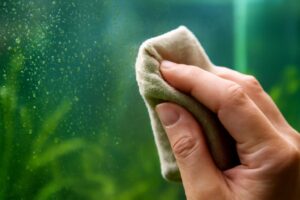 水槽のガラスに付いた緑の点状コケを完全除去する方法と予防策