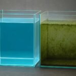 水槽を掃除したのに汚いままの原因と解決策を徹底解説